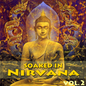 Album Soaked In Nirvana, Vol.2 from Dune