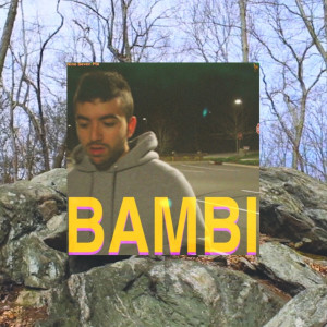Album Bambi from 