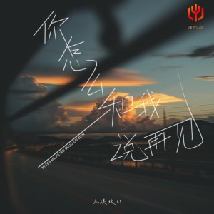 Album 你怎么和我说再见 oleh 庄淇文29