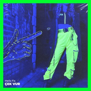 Listen to Çek Vur song with lyrics from Melis Fis