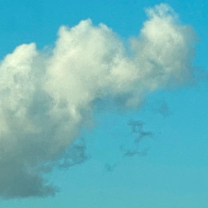 Album Cloud Kid from Carlin