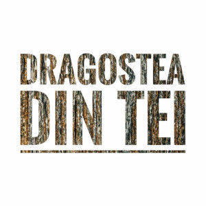 Dragostea Din Tei dari Simone