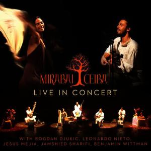 收聽Mirabai Ceiba的Between the Shores - Sat Naam (Live in Concert)歌詞歌曲