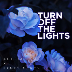 Ameria的專輯Turn Off The Lights