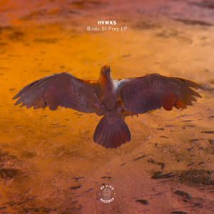 Listen to Anything You Want song with lyrics from HVWKS