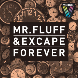 ดาวน์โหลดและฟังเพลง Forever (Mr. Fluff's Big Room Mix) พร้อมเนื้อเพลงจาก Mr. Fluff