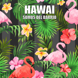 Somos del Barrio的专辑Hawai
