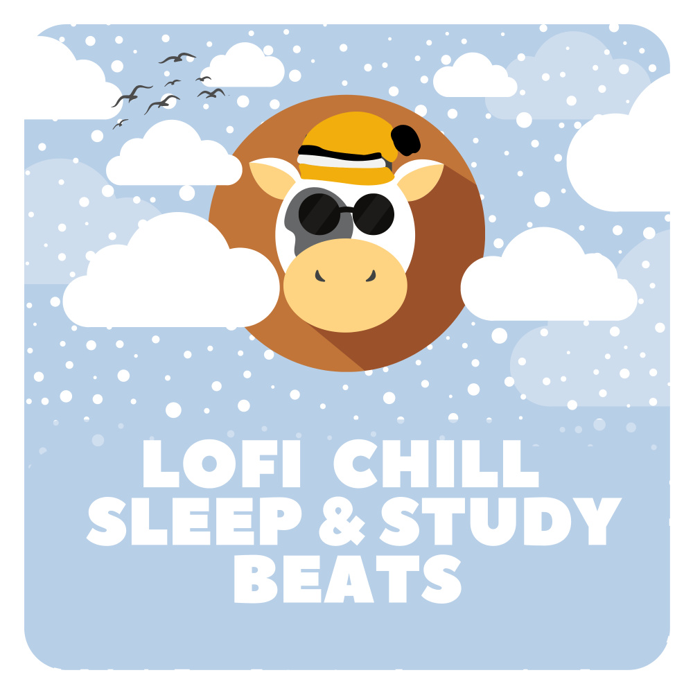 Lofi Hip Hop Beats To Study To