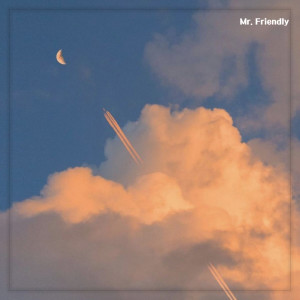 Listen to 미안해 (feat. 루오) song with lyrics from 미스터 프랜들리