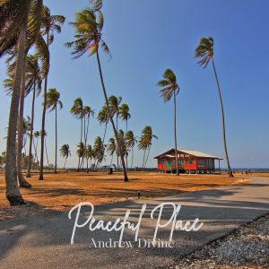 收听Andrew Divine的Peaceful Place歌词歌曲