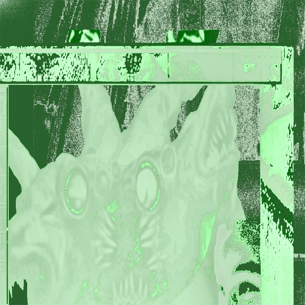 searching (bonus)
