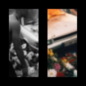 Album MAX MANTRA (Remixes) from Feux