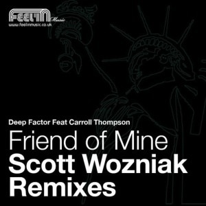 Deep Factor的專輯Friend of Mine: The Scott Wozniak Remixes