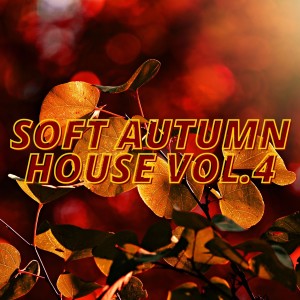 Various的專輯Soft Autumn House Vol.4