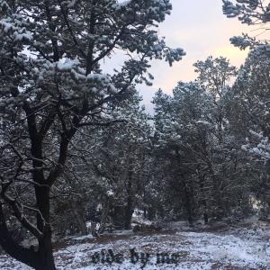 Listen to can you side by me? song with lyrics from Numb