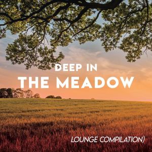 Dengarkan Deep in the Meadow (Remix) lagu dari Urban Sound Collective dengan lirik