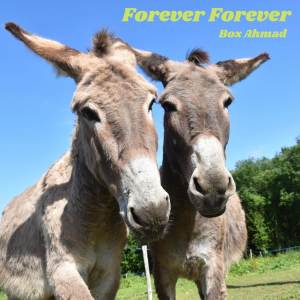 ดาวน์โหลดและฟังเพลง Forever Forever พร้อมเนื้อเพลงจาก Box Ahmad