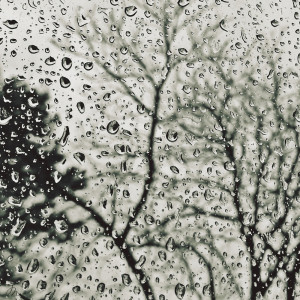 Listen to Rain and Thunder song with lyrics from Rain Sounds