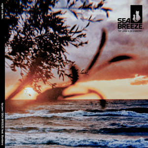 收听tip jam的SEA BREEZE (feat. Bonbero)歌词歌曲