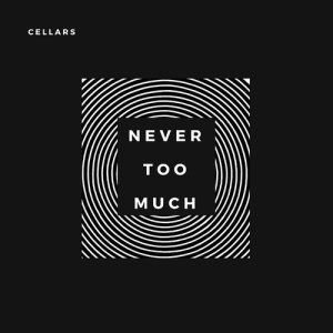 ดาวน์โหลดและฟังเพลง Never Too Much พร้อมเนื้อเพลงจาก Cellars