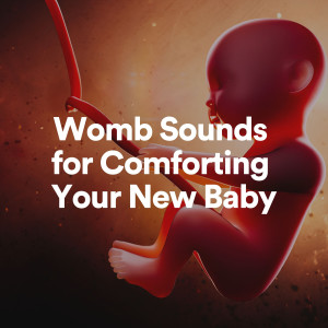 Womb Sounds Heartbeat的專輯Womb Sounds for Comforting Your New Baby