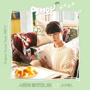 Listen to 사랑에 빠졌었나봐 song with lyrics from JUNIEL