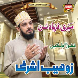 Zohaib Ashrafi的专辑Meri Faryad Sun