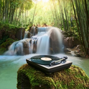 default playlist img