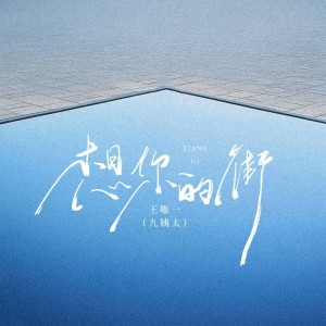 Album 想你的街 from 王唯一