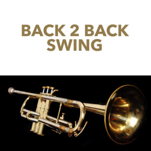 Glen Gray and His Casa Loma Orchestra的专辑Back 2 Back Swing