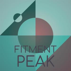 Various的专辑Fitment Peak