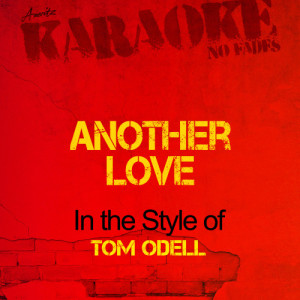 收聽Ameritz Audio Karaoke的Another Love (In the Style of Tom Odell) [Karaoke Version] (Karaoke Version)歌詞歌曲