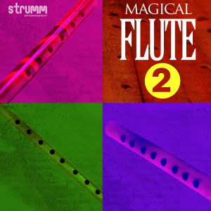 Iwan Fals & Various Artists的專輯Magical Flute, Vol. 2