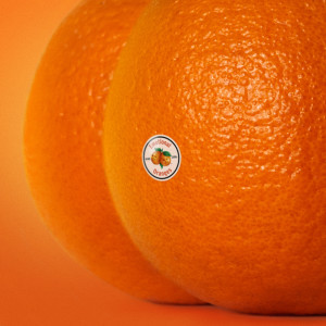 ดาวน์โหลดและฟังเพลง Just Like You พร้อมเนื้อเพลงจาก Emotional Oranges