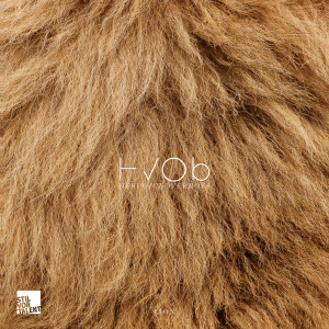 ดาวน์โหลดและฟังเพลง Lion (Wolfram Remix) พร้อมเนื้อเพลงจาก HVOB