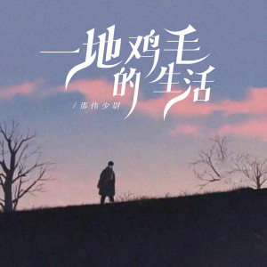 Album 一地鸡毛的生活 from 邵伟少尉