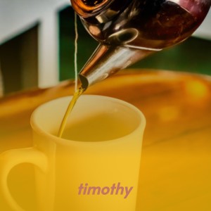 收听Henry Mancini的Timothy歌词歌曲