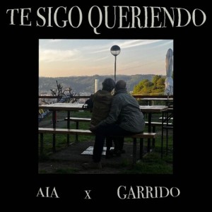 Album TE SIGO QUERIENDO from AIA