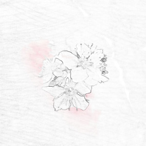 Album 一春一瞬 from 灰澈