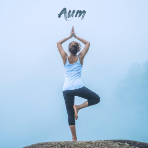 Album Deep Sleep from Aum Relaxing Music