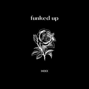 Funked up (Explicit)