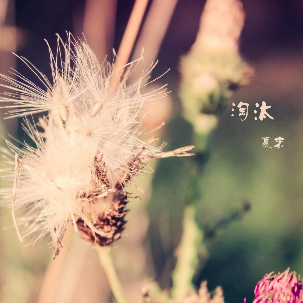 淘汰 (伴奏)