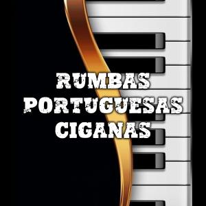 收聽Rumbas Portuguesas Ciganas的Rumba Portuguesa nando de Leiria (feat. Davi Maia)歌詞歌曲