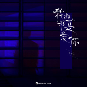 Listen to 我想我是爱你 song with lyrics from 吴炳文