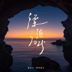 Album 漂泊2025（合唱版） from 魏佳艺
