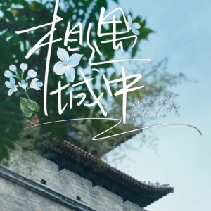 Listen to 相遇城中 (伴奏) song with lyrics from 旦增尼玛