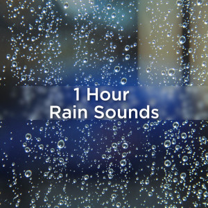 Album 1 Hour Rain Sounds from Rain Sounds