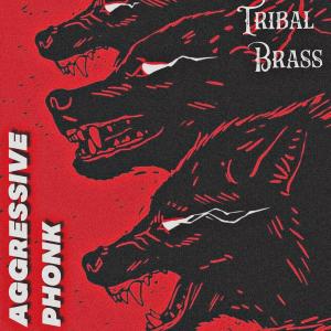 marianacanabi的專輯Tribal Brass - AGGRESSIVE PHONK