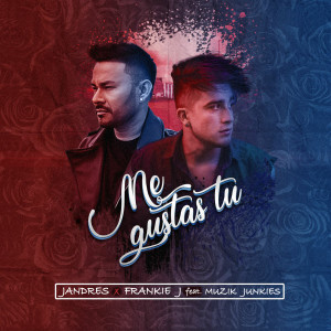 Listen to Me Gustas Tú song with lyrics from Jandres