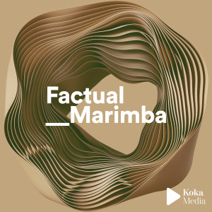 Album Factual Marimba from Eric Chevalier